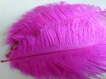 fuchsia ostrich feathers